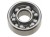 Camshaft Bearing